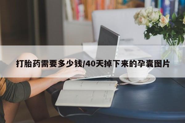 流产药购买微信打胎药需要多少钱/40天掉下来的孕囊图片