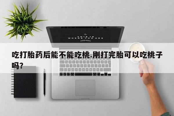 流产药购买微信吃打胎药后能不能吃桃.刚打完胎可以吃桃子吗?